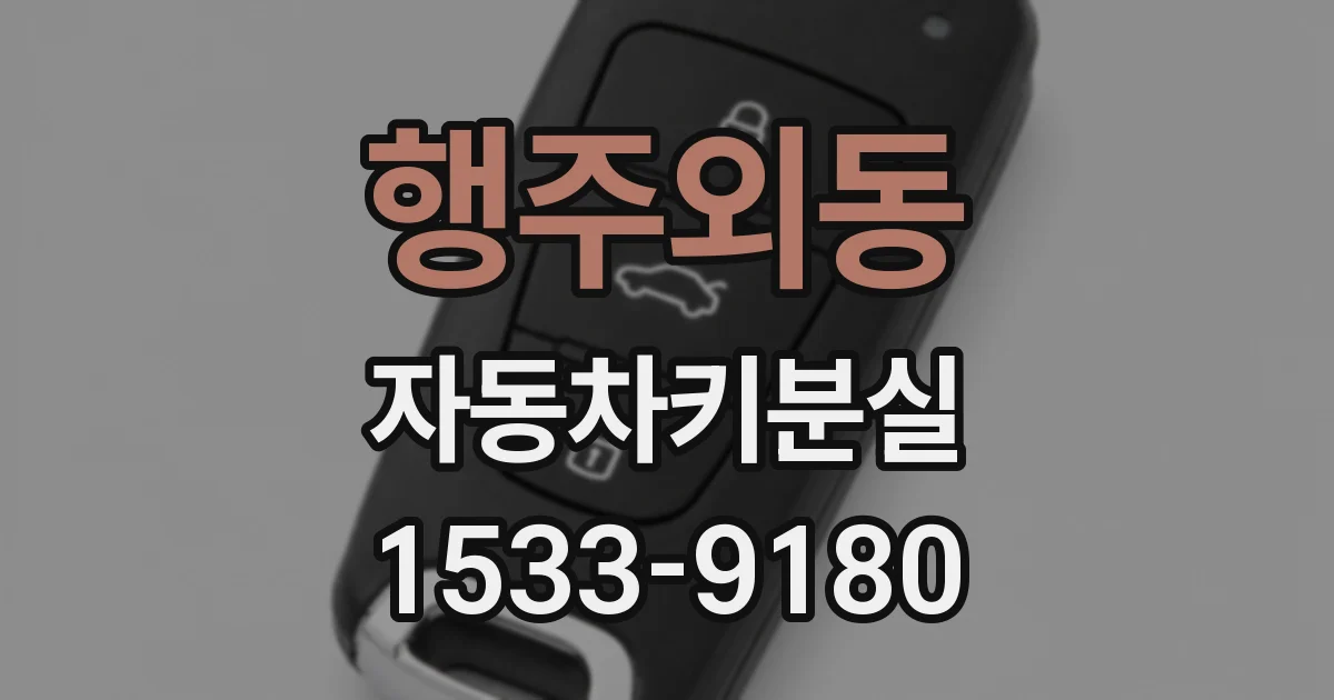행주외동 자동차키분실