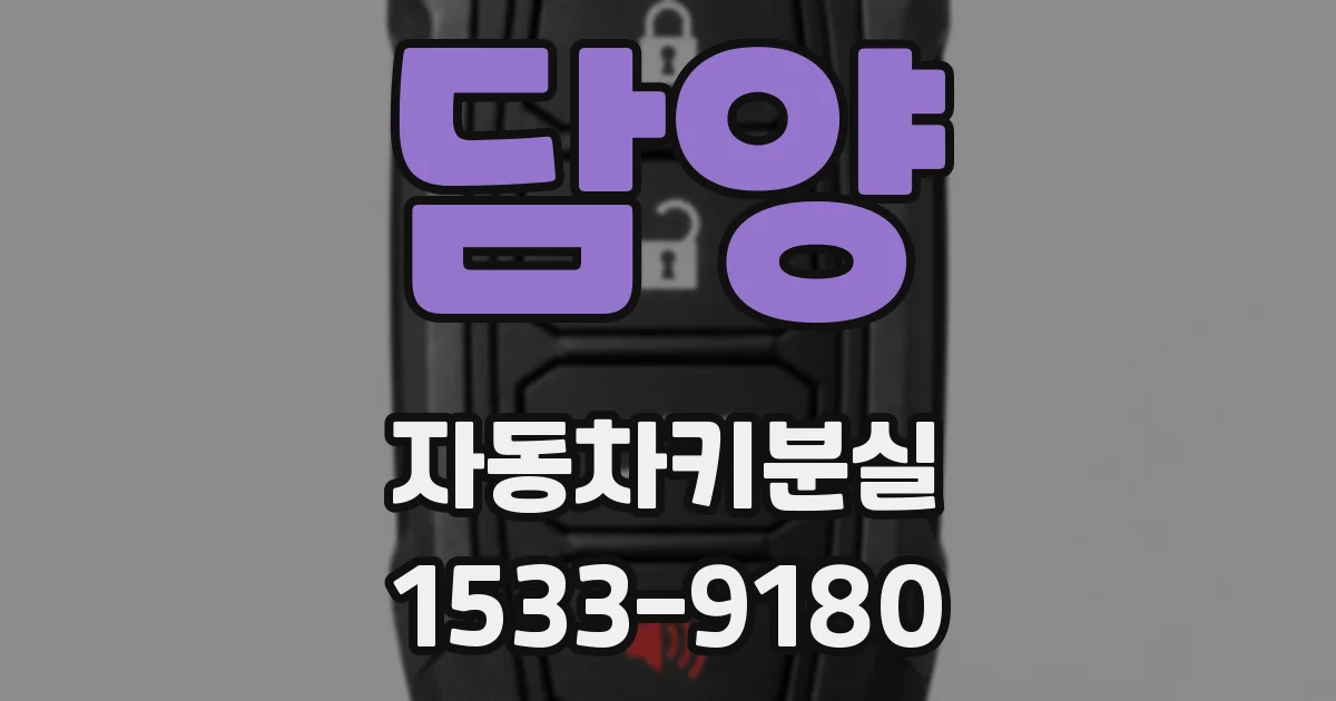 담양 자동차키분실