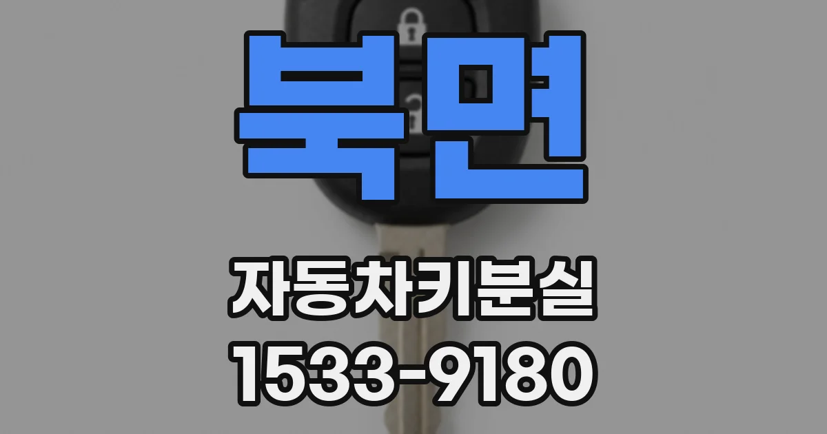 북면 자동차키분실