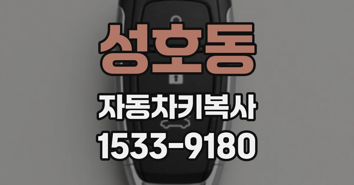 성호동 자동차키복사