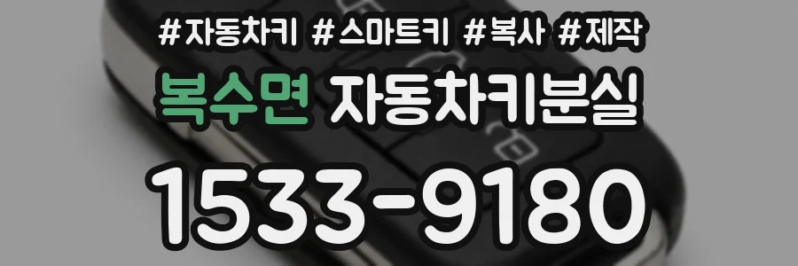 복수면 자동차키분실