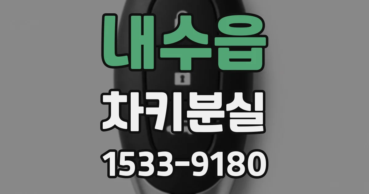 내수읍 차키분실