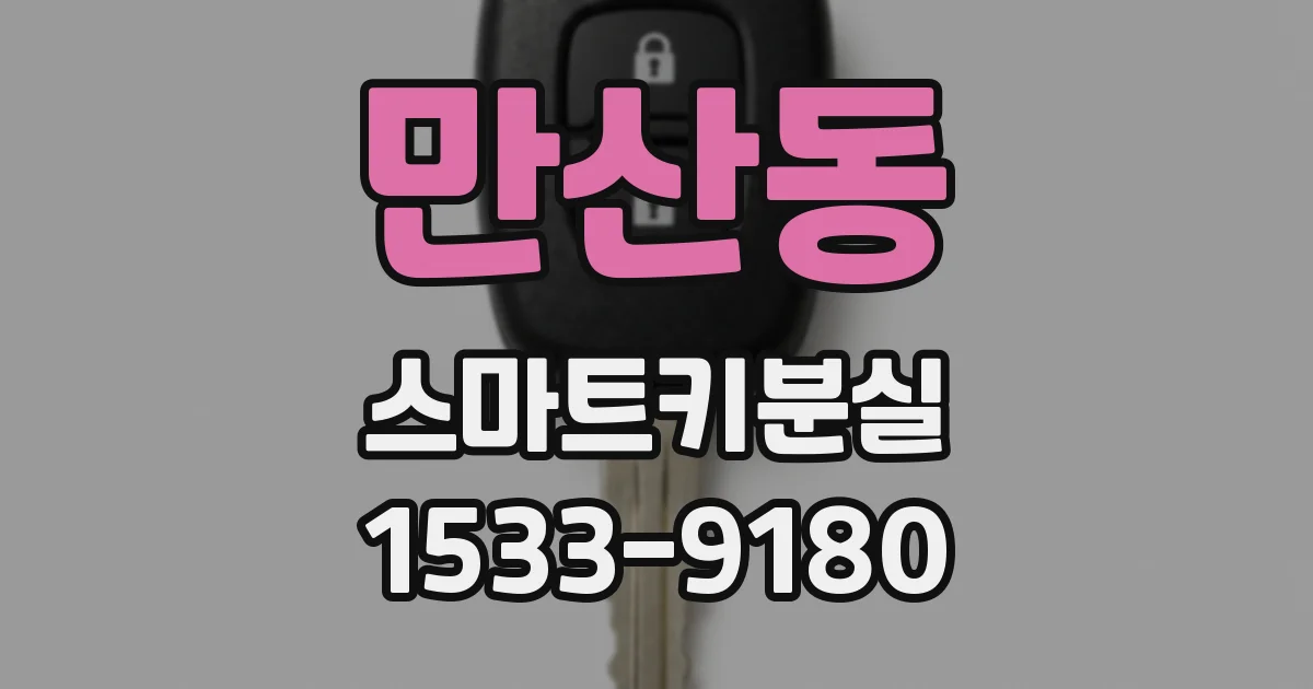 만산동 스마트키분실
