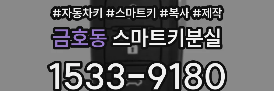 금호동 스마트키분실