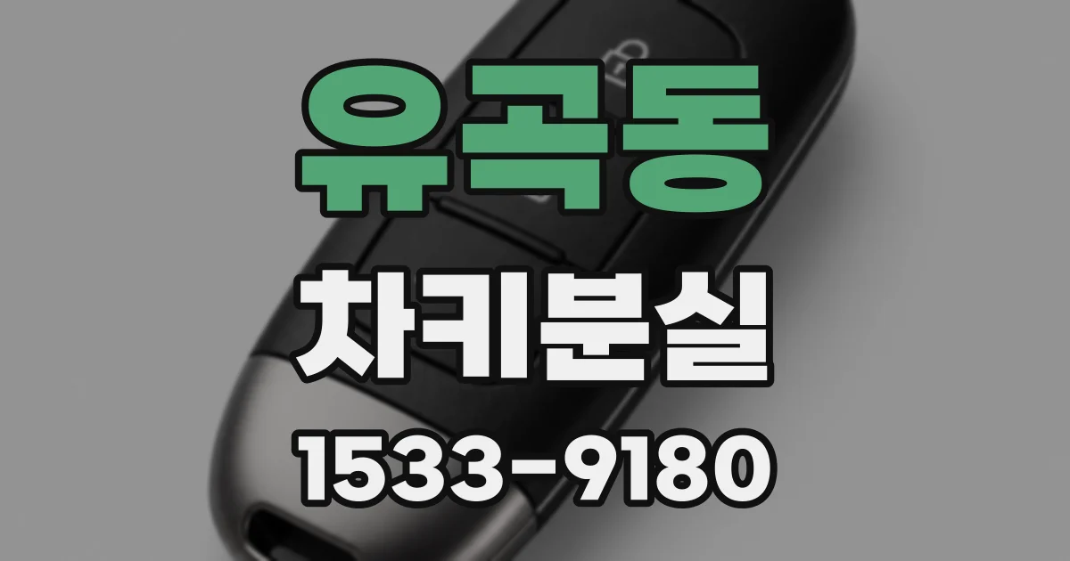 유곡동 차키분실