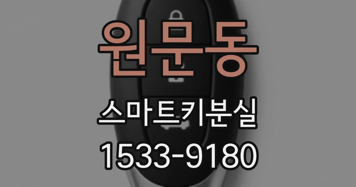 원문동 스마트키분실