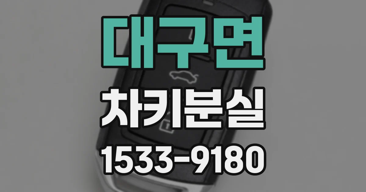 대구면 차키분실