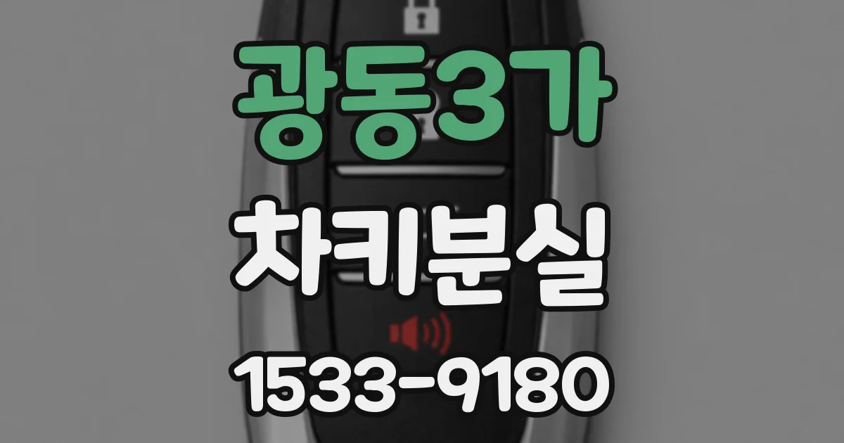 광동3가 차키분실
