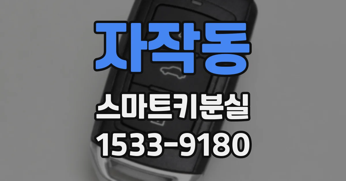 자작동 스마트키분실