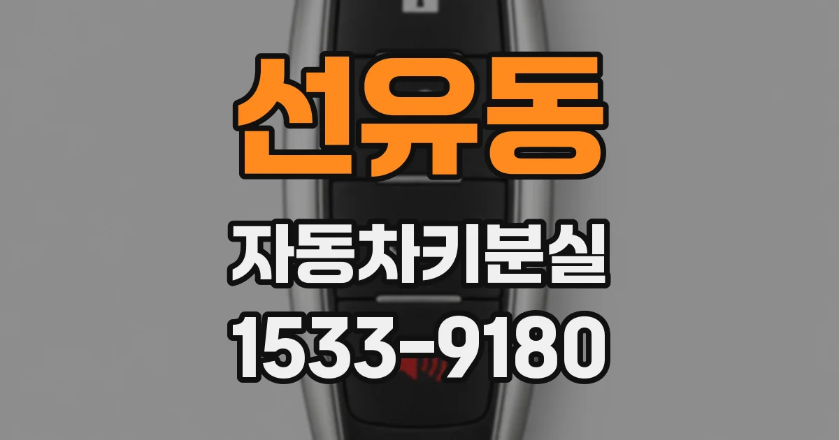 선유동 자동차키분실