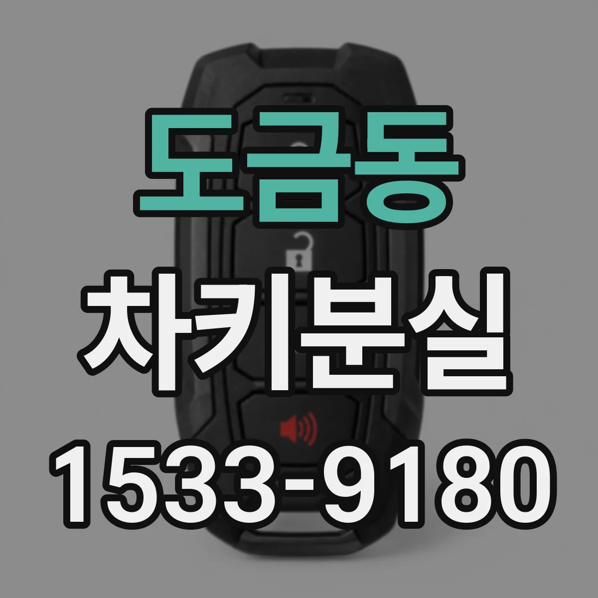 도금동 차키분실
