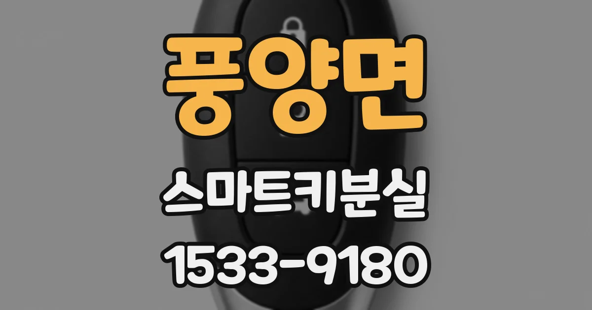 풍양면 스마트키분실