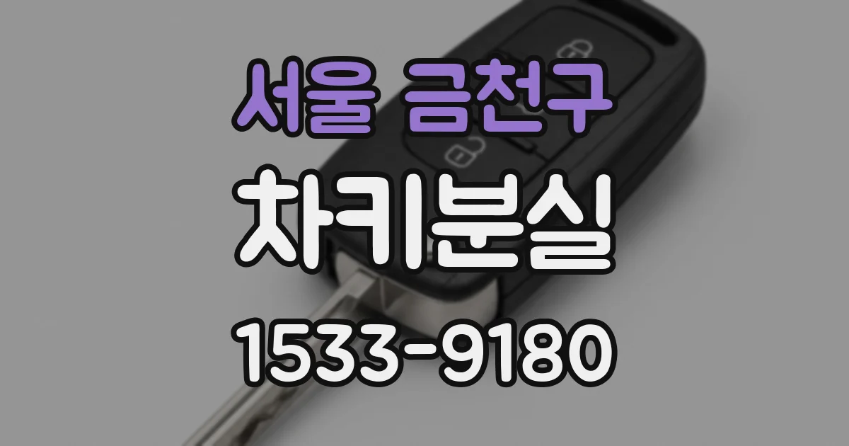 서울 금천구 차키분실
