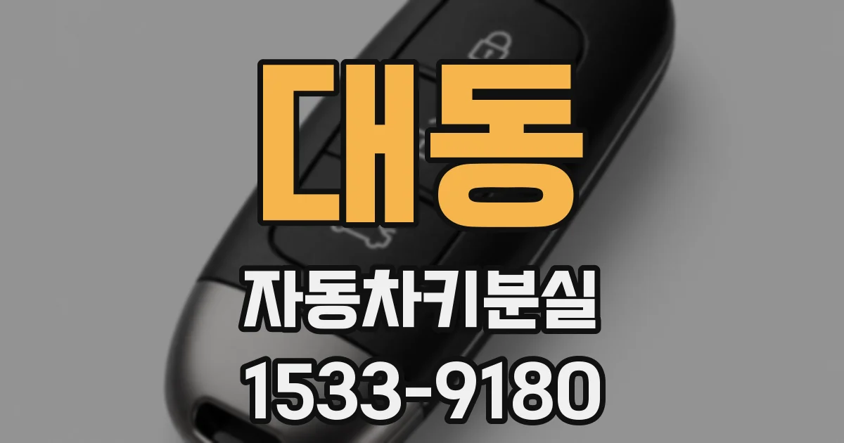 대동 자동차키분실