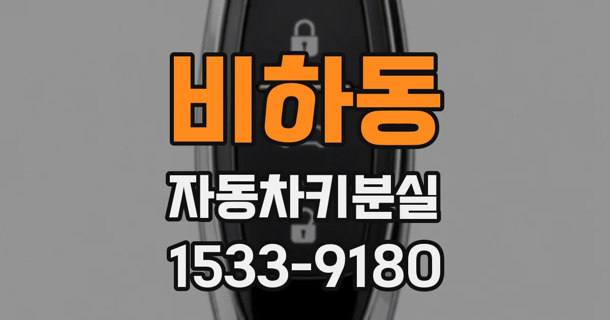 비하동 자동차키분실