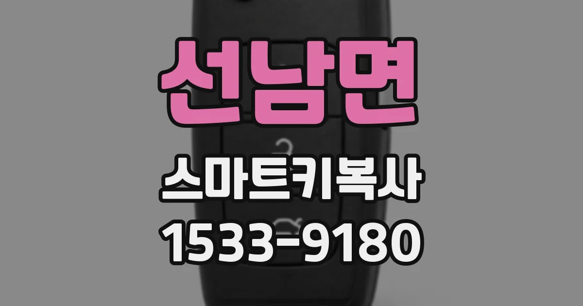선남면 스마트키복사