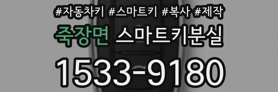 죽장면 스마트키분실