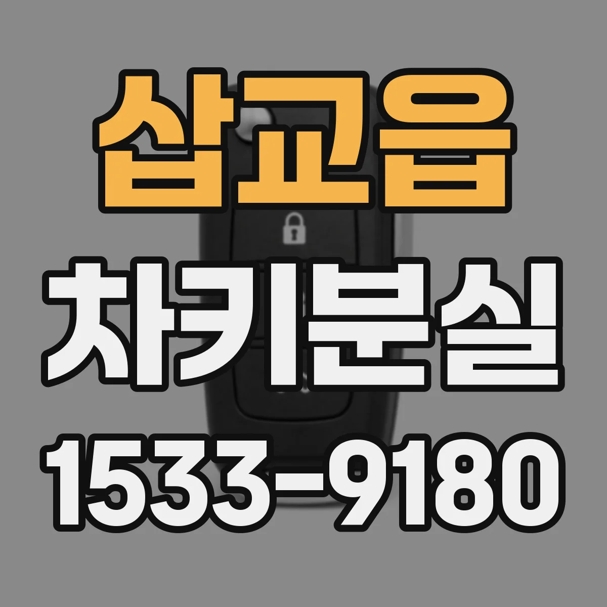 삽교읍 차키분실