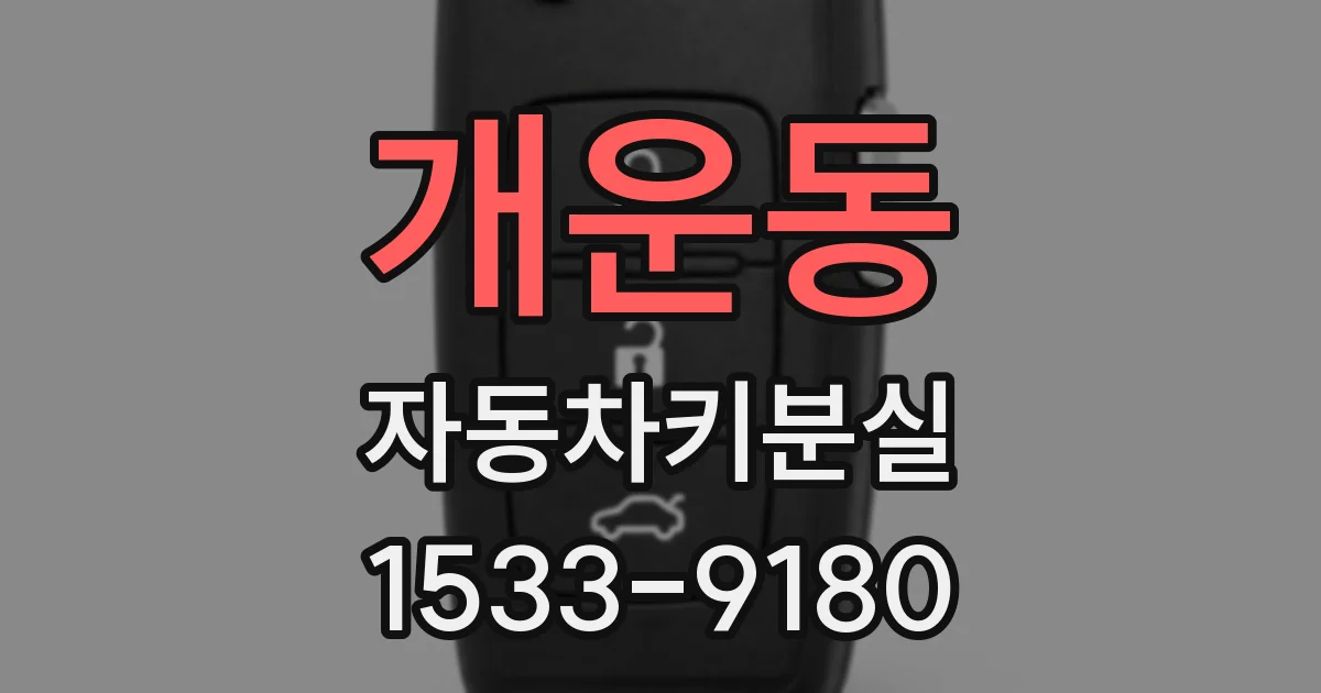 개운동 자동차키분실