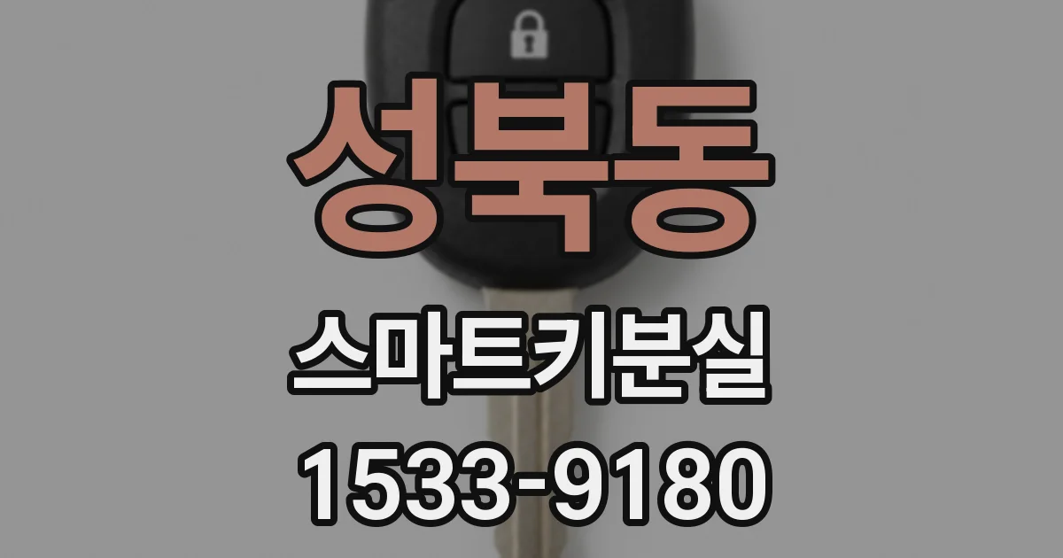 성북동 스마트키분실