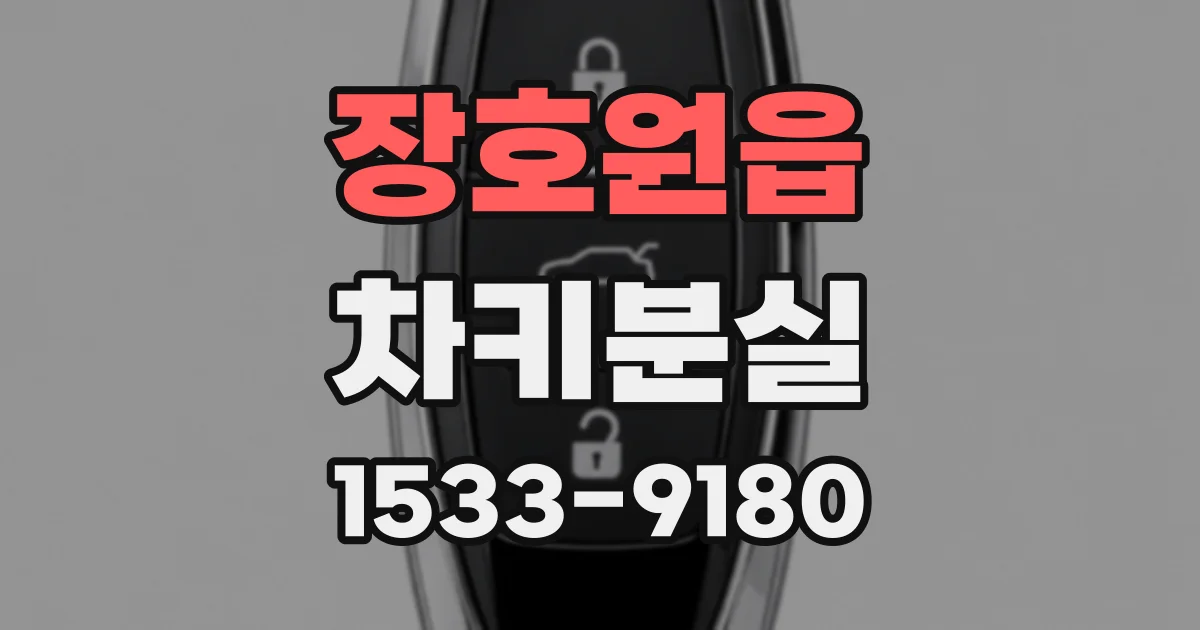 장호원읍 차키분실