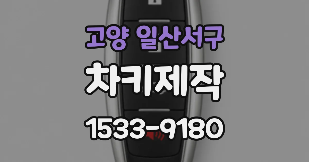 고양 일산서구 차키제작