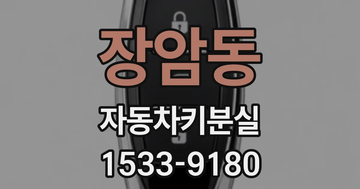 장암동 자동차키분실