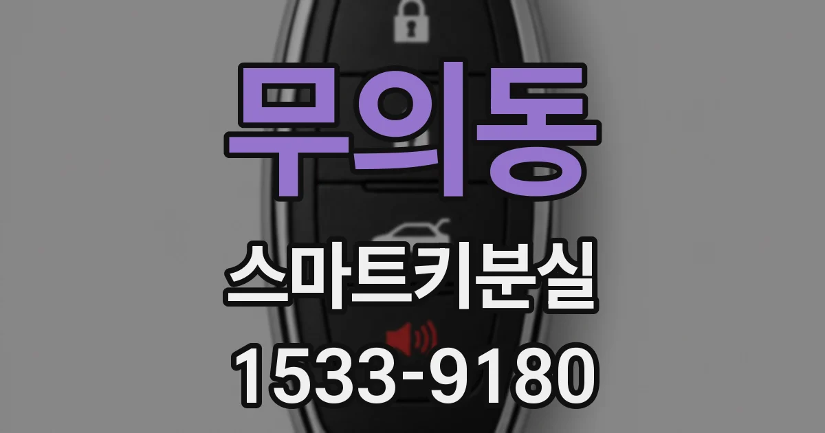 무의동 스마트키분실