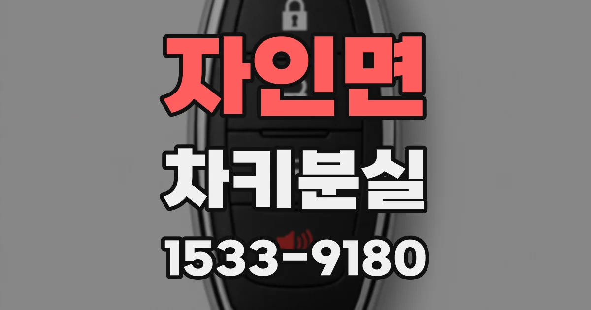 자인면 차키분실