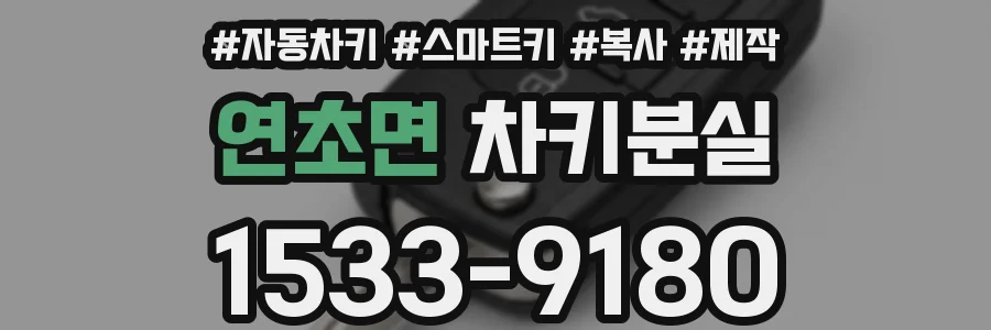 연초면 차키분실