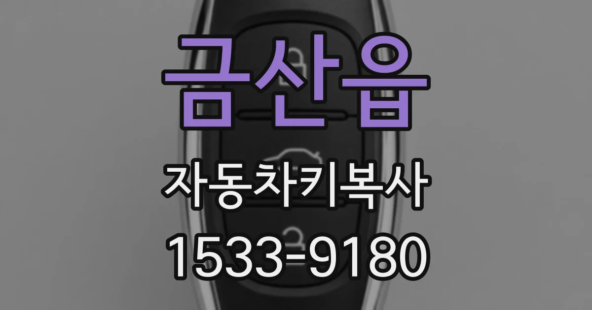 금산읍 자동차키복사