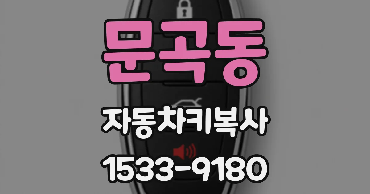 문곡동 자동차키복사