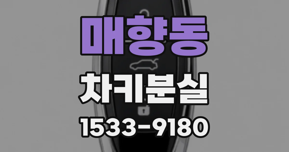매향동 차키분실