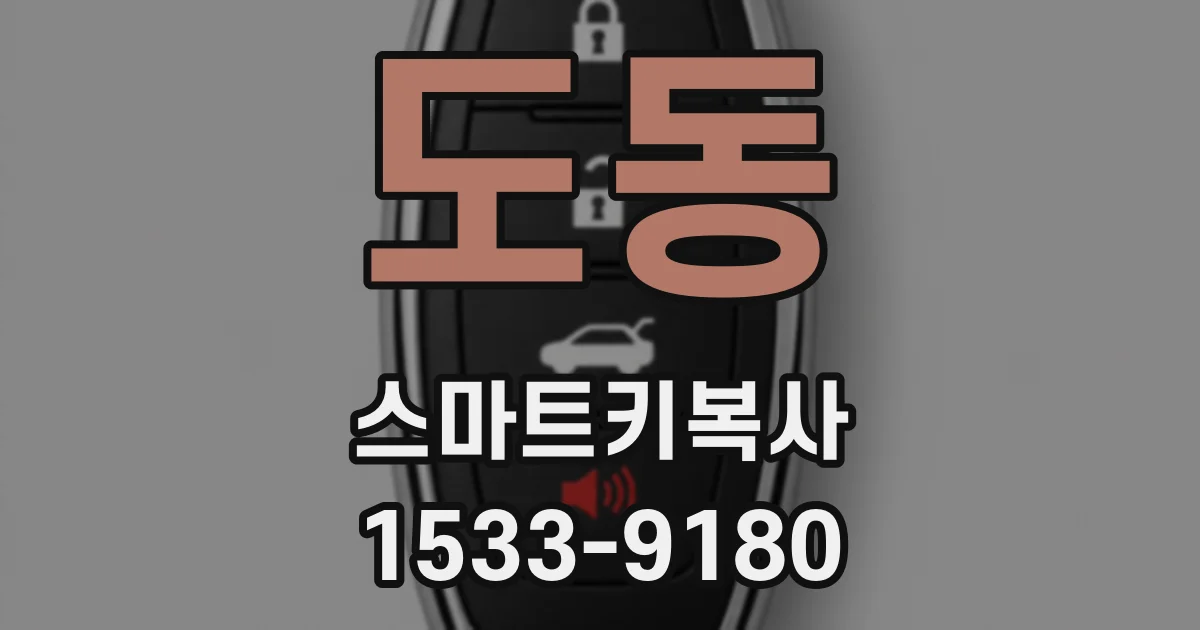 도동 스마트키복사