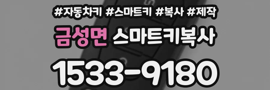 금성면 스마트키복사