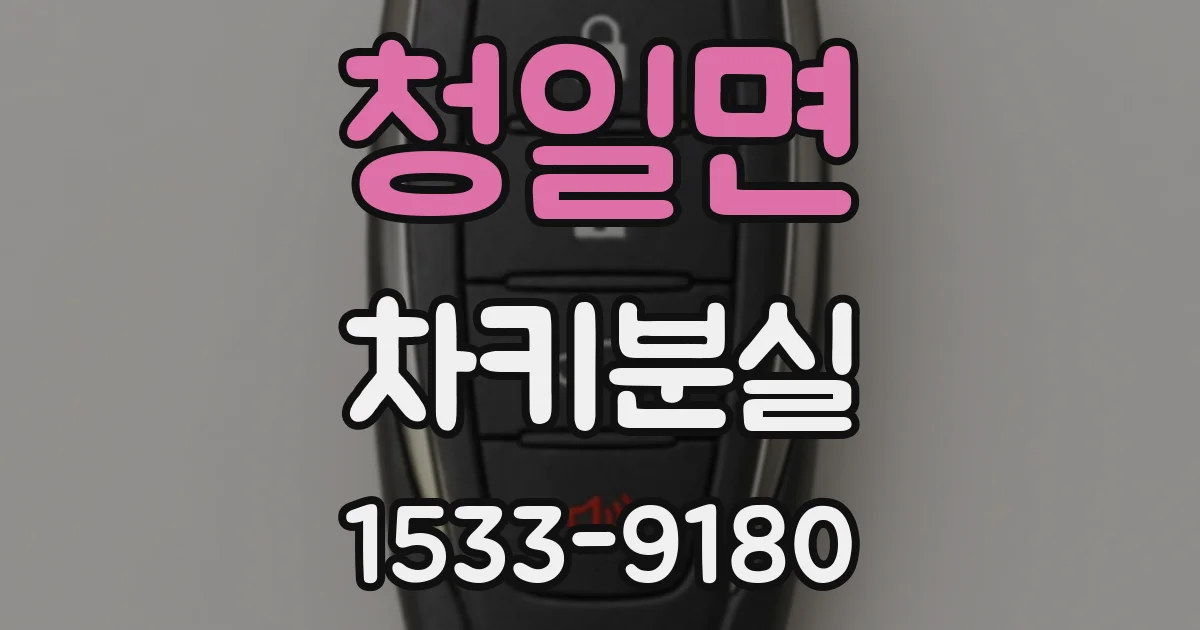 청일면 차키분실