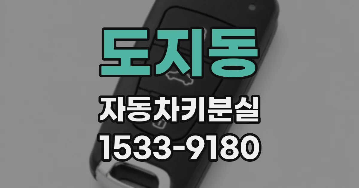 도지동 자동차키분실