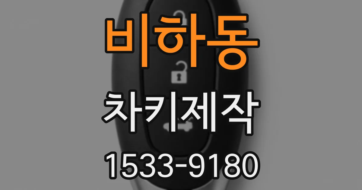 비하동 차키제작