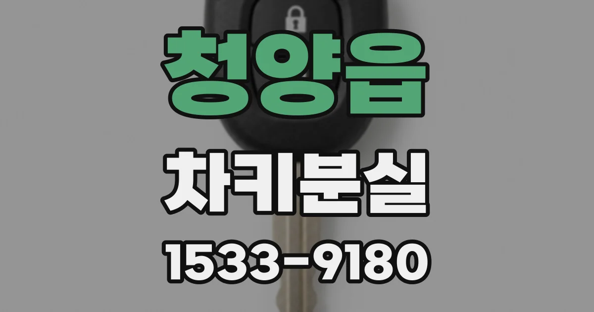 청양읍 차키분실