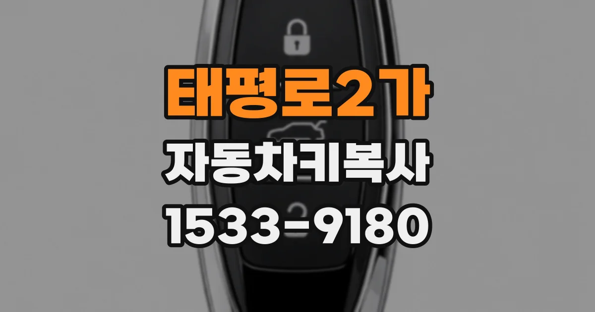 태평로2가 자동차키복사