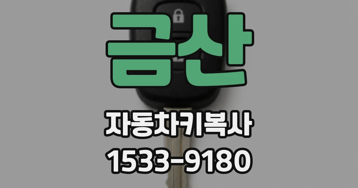 금산 자동차키복사