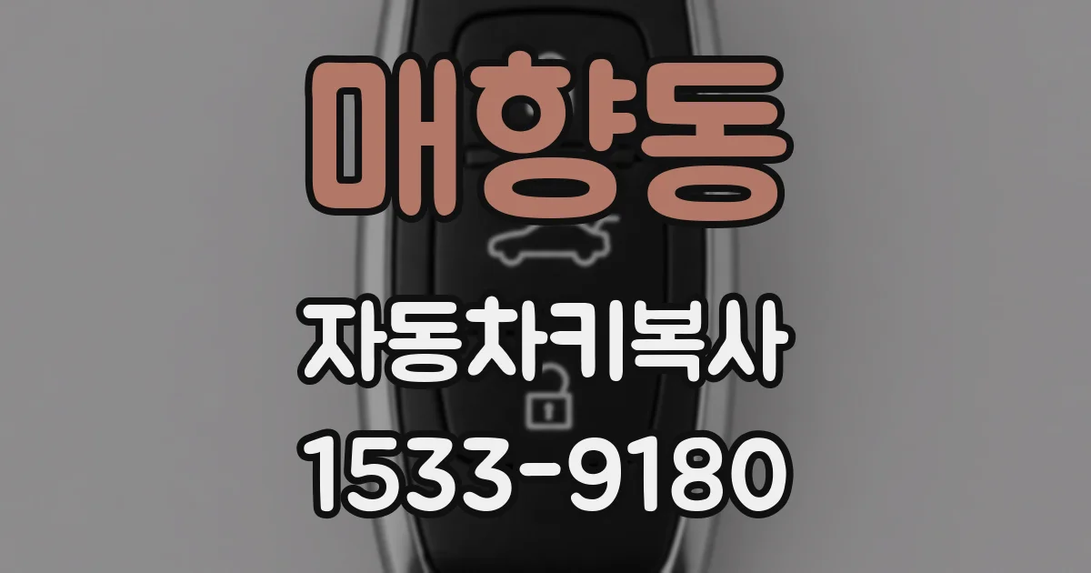 매향동 자동차키복사