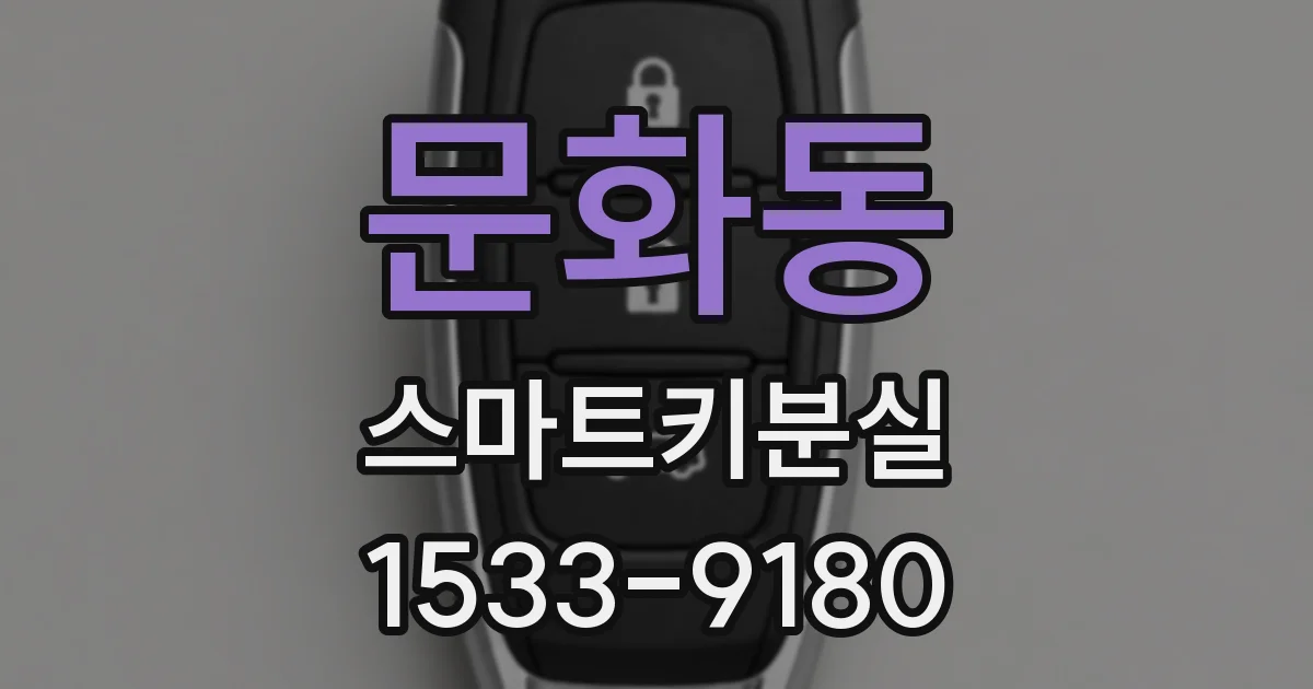 문화동 스마트키분실