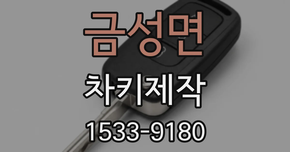 금성면 차키제작