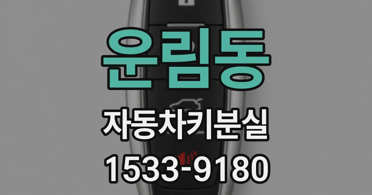 운림동 자동차키분실