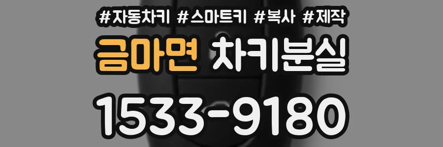 금마면 차키분실