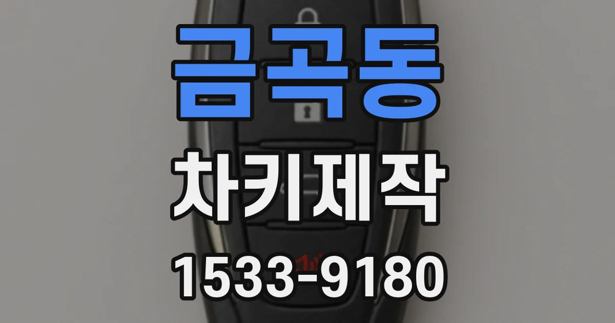 금곡동 차키제작
