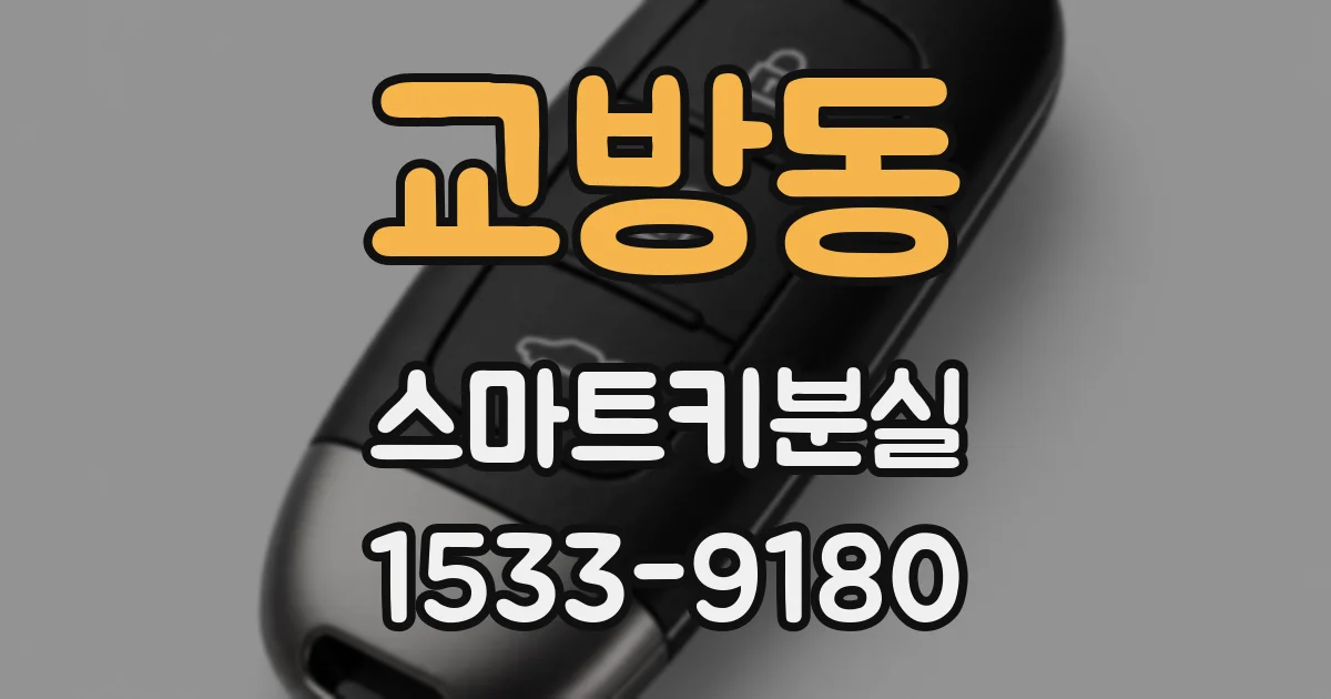 교방동 스마트키분실