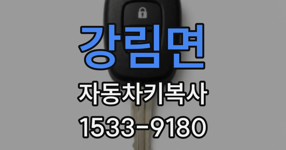 강림면 자동차키복사