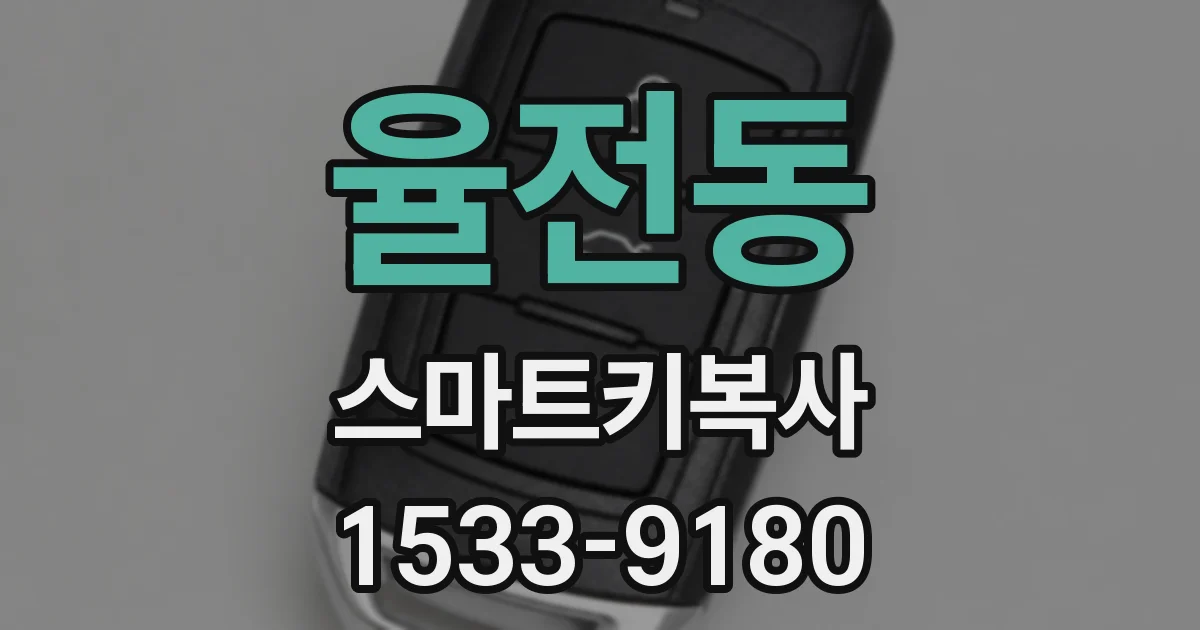 율전동 스마트키복사